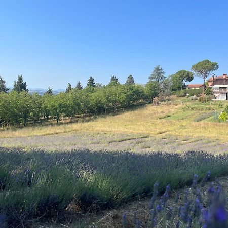 Agriturismo Villa Beatrice 몬다비오 외부 사진