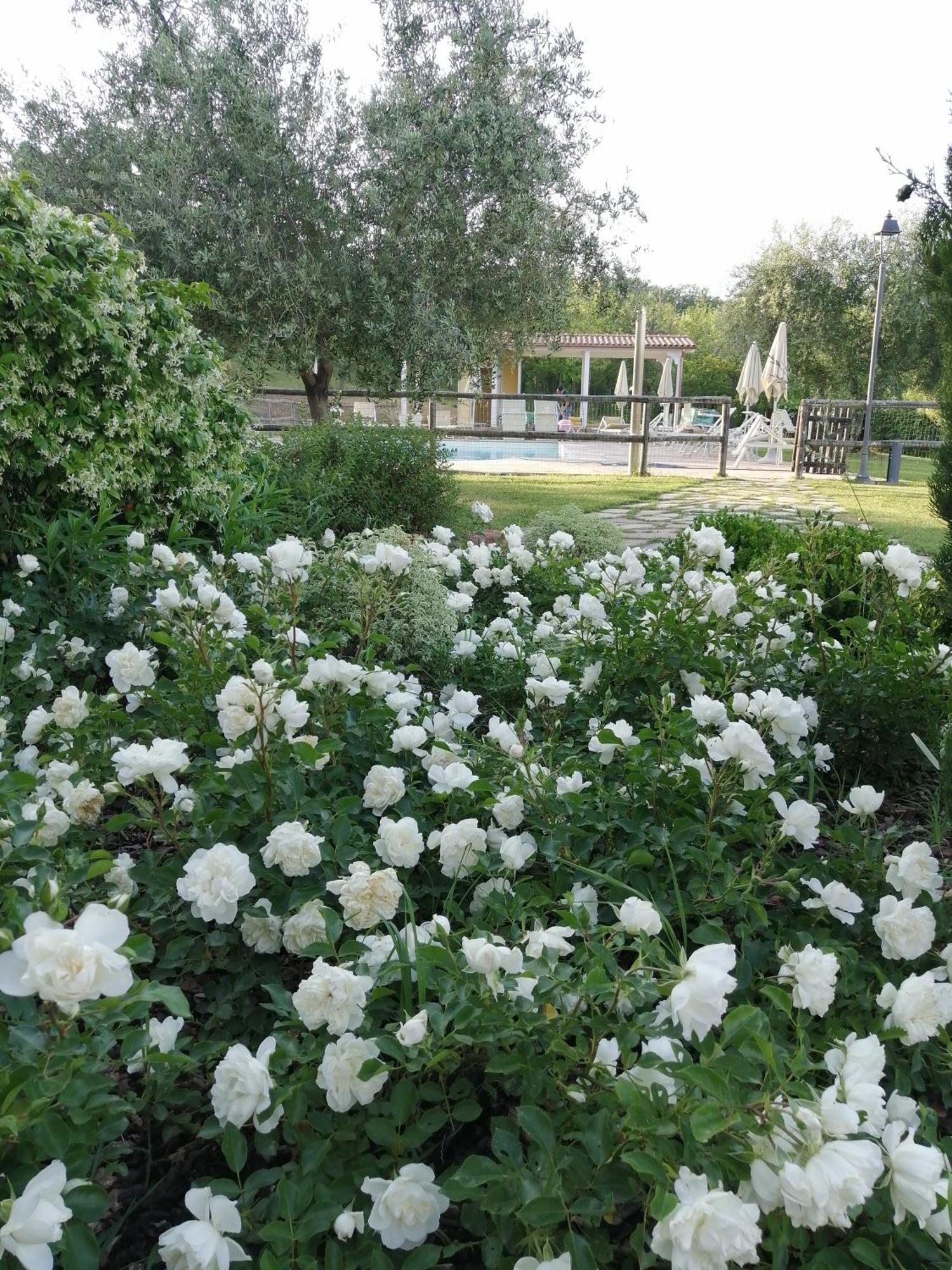 Agriturismo Villa Beatrice 몬다비오 외부 사진